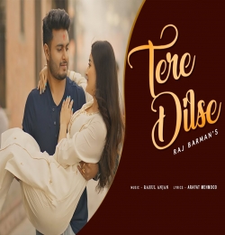 Tere Dilse